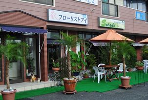 本店